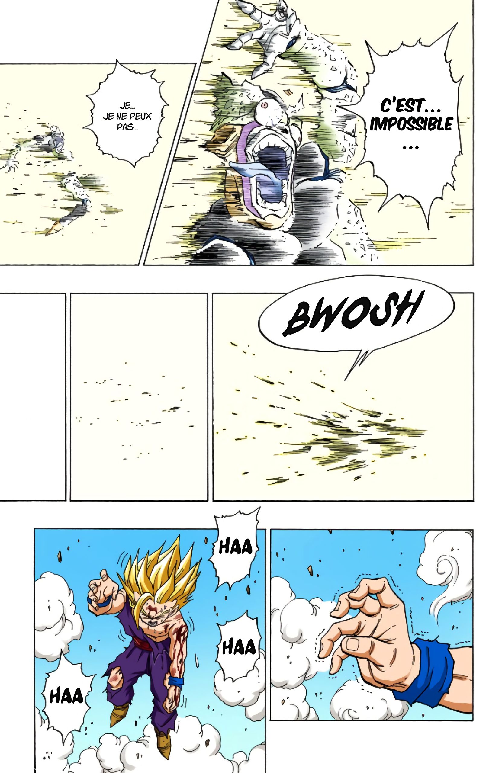 Chapitre 416 — Kamé Hamé Ha contre Kamé Hamé Ha, l'affrontement final — page 12