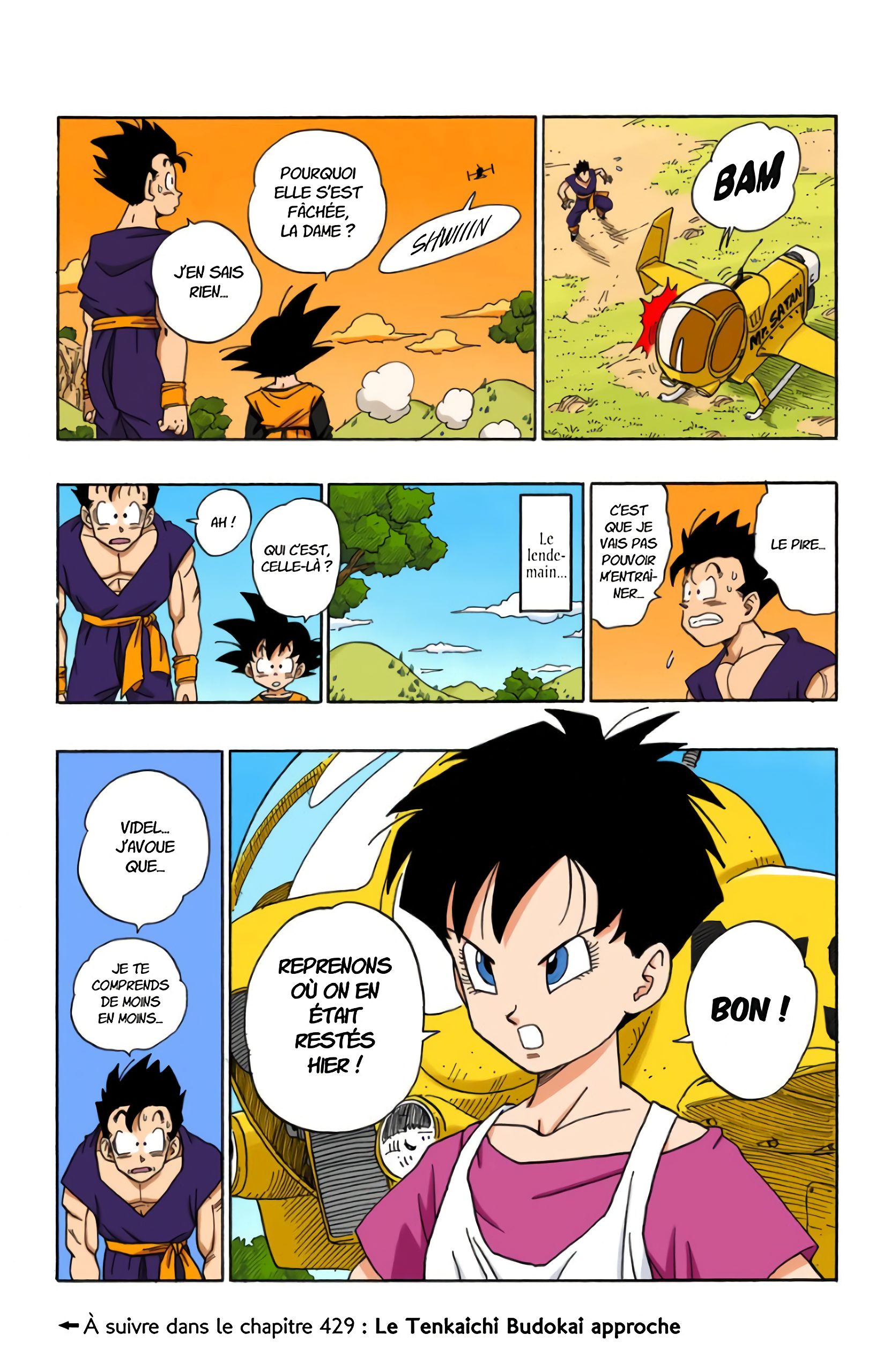 Chapitre 428 — Videl et le Bukû Jutsu — page 15