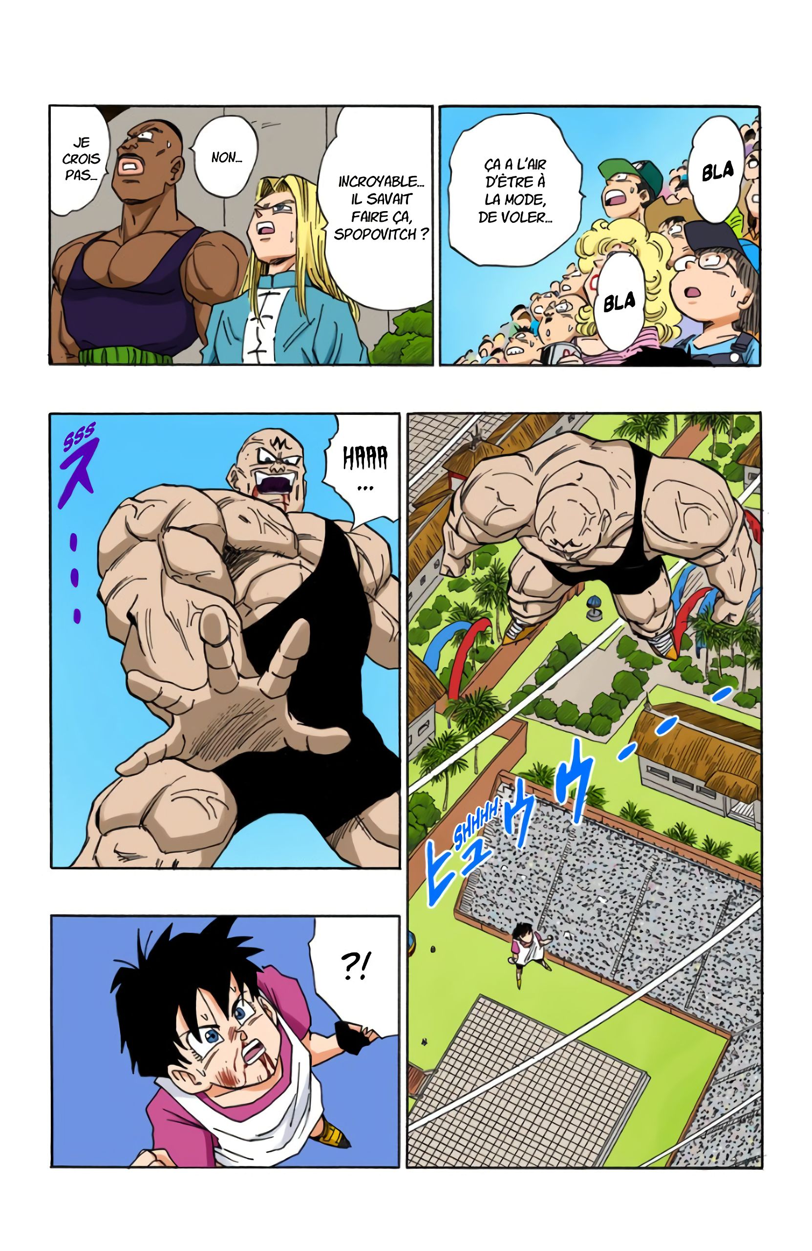 Chapitre 441 — Videl en piteux état — page 10