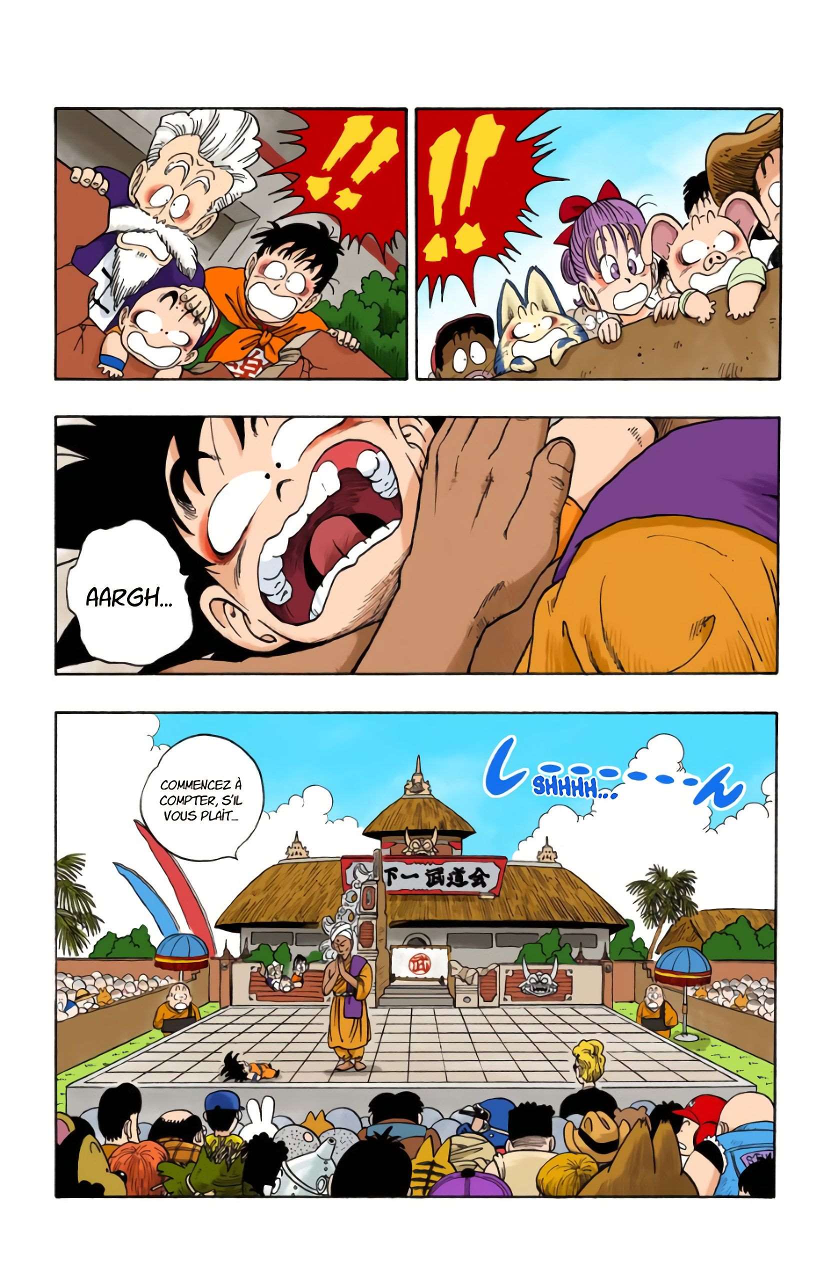 Chapitre 45 — Combat en plein ciel ! — page 3