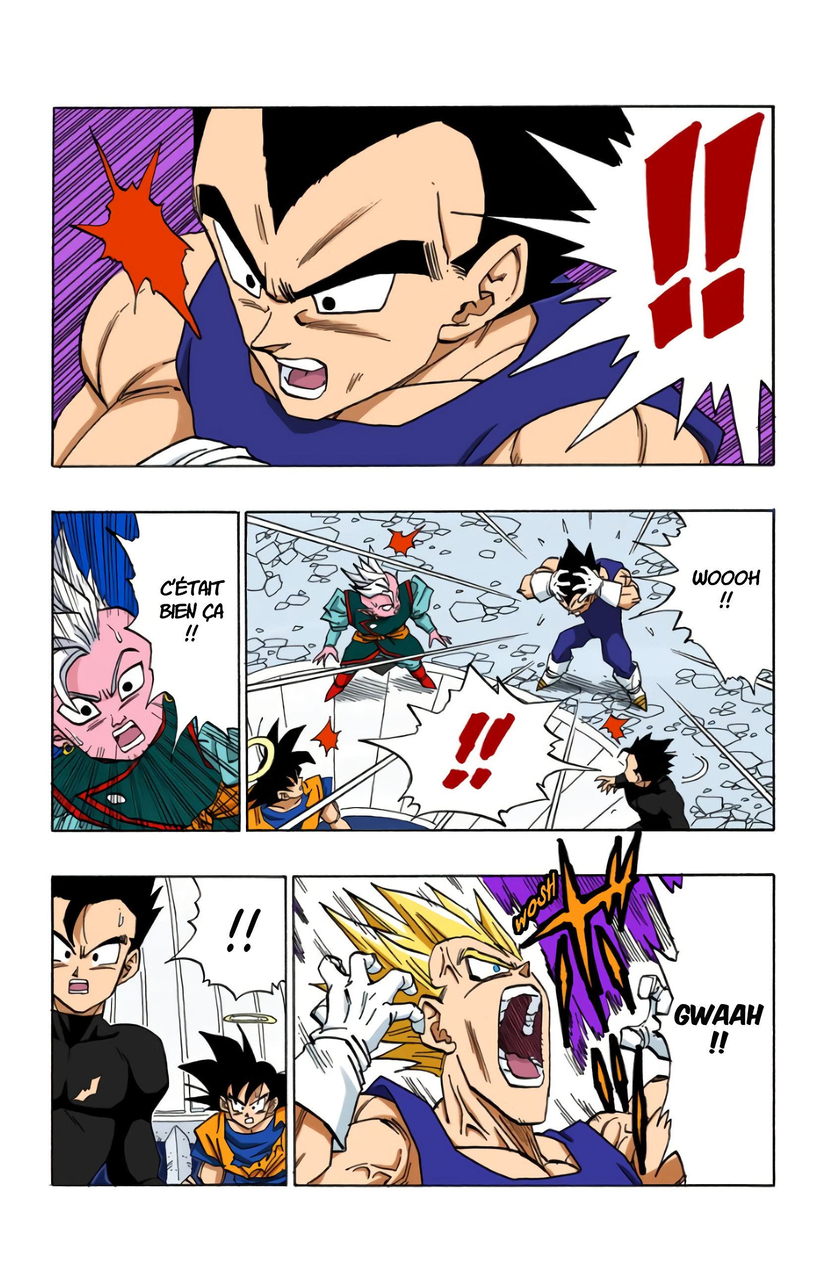 Chapitre 456 — Le duel fatidique, Son Gokû contre Végéta — page 4