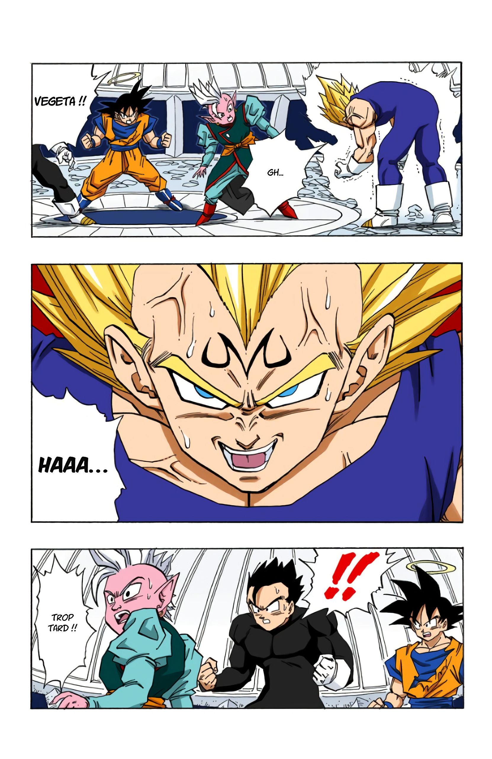 Chapitre 456 — Le duel fatidique, Son Gokû contre Végéta — page 6