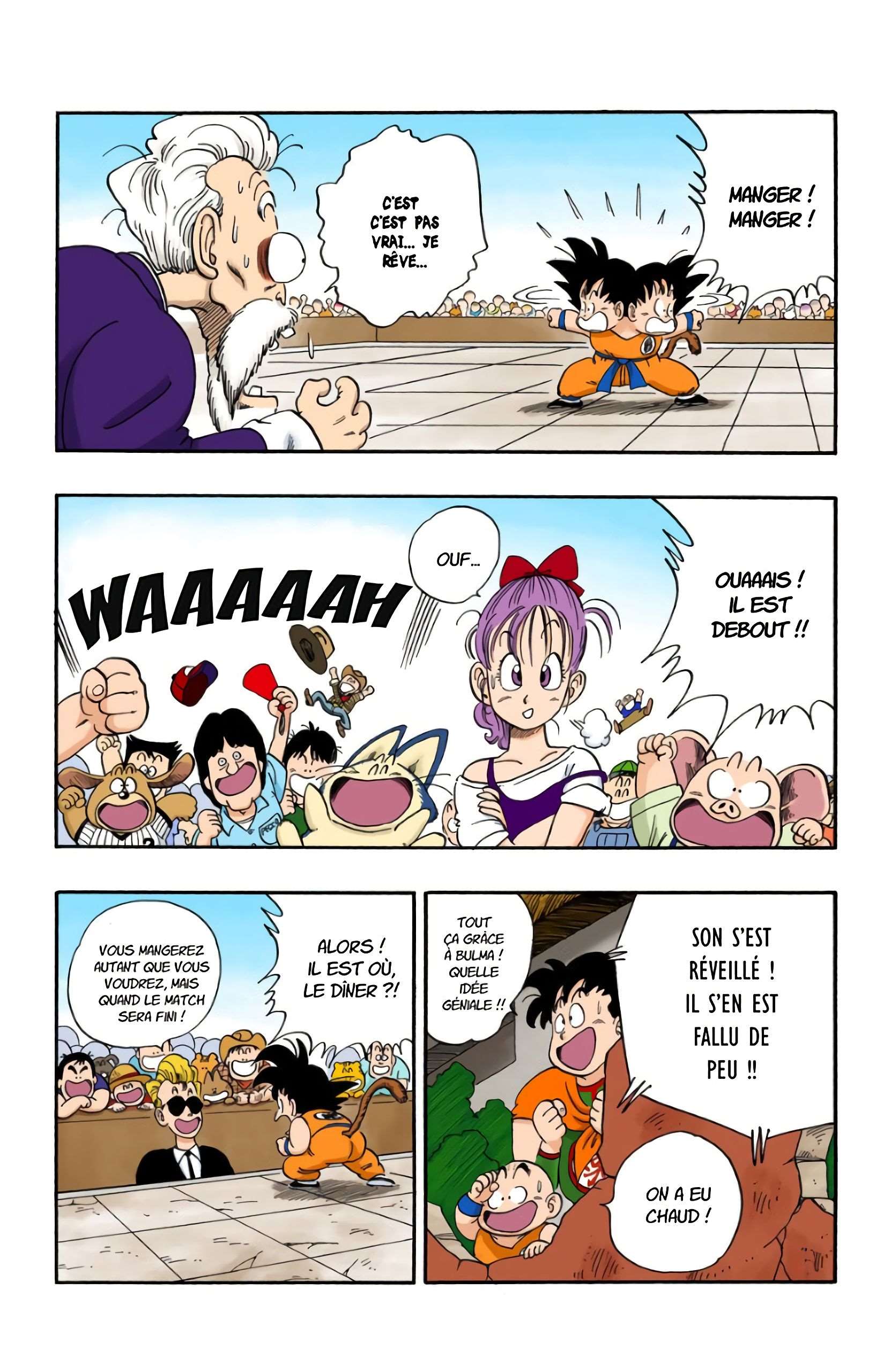 Chapitre 49 — Jackie Chun (Muten Roshi) contre-attaque — page 12