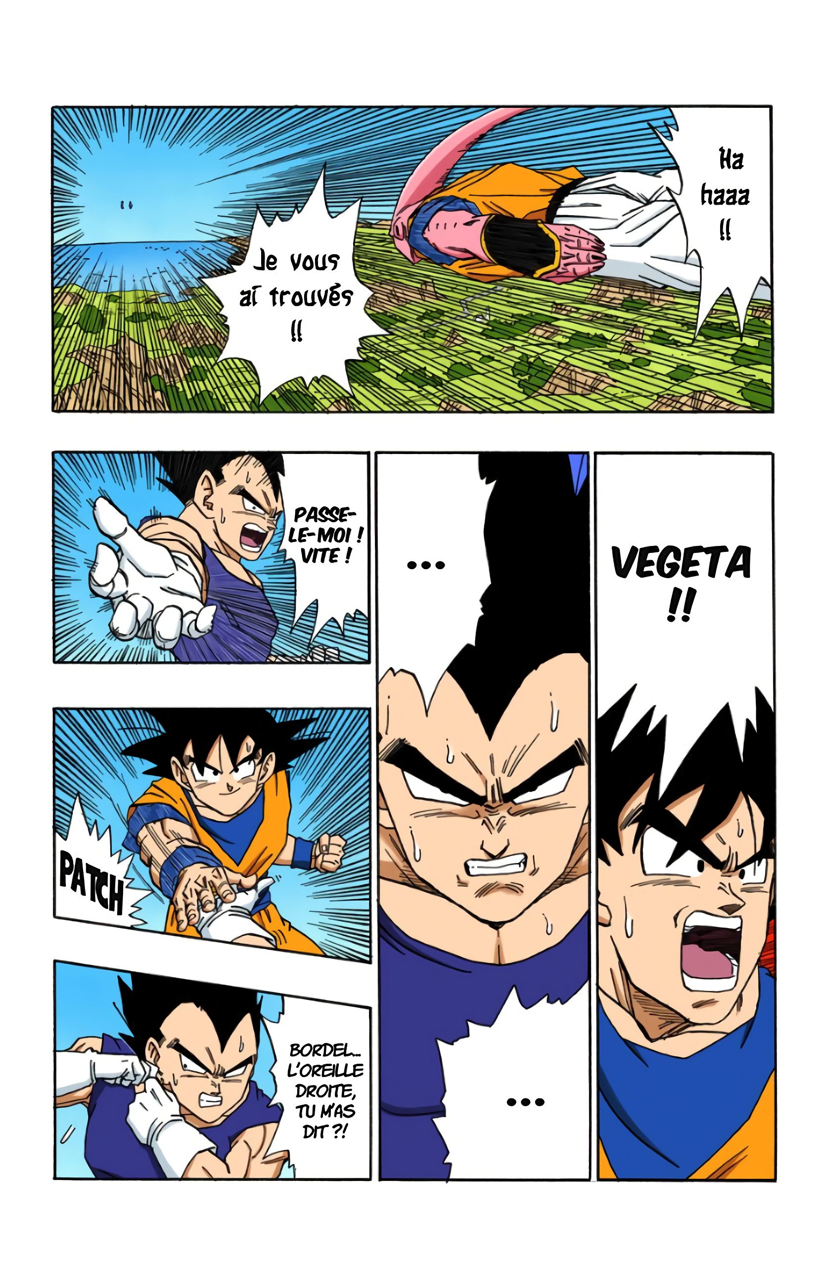 Chapitre 503 — La dernière fusion de Son Gokû !! — page 13