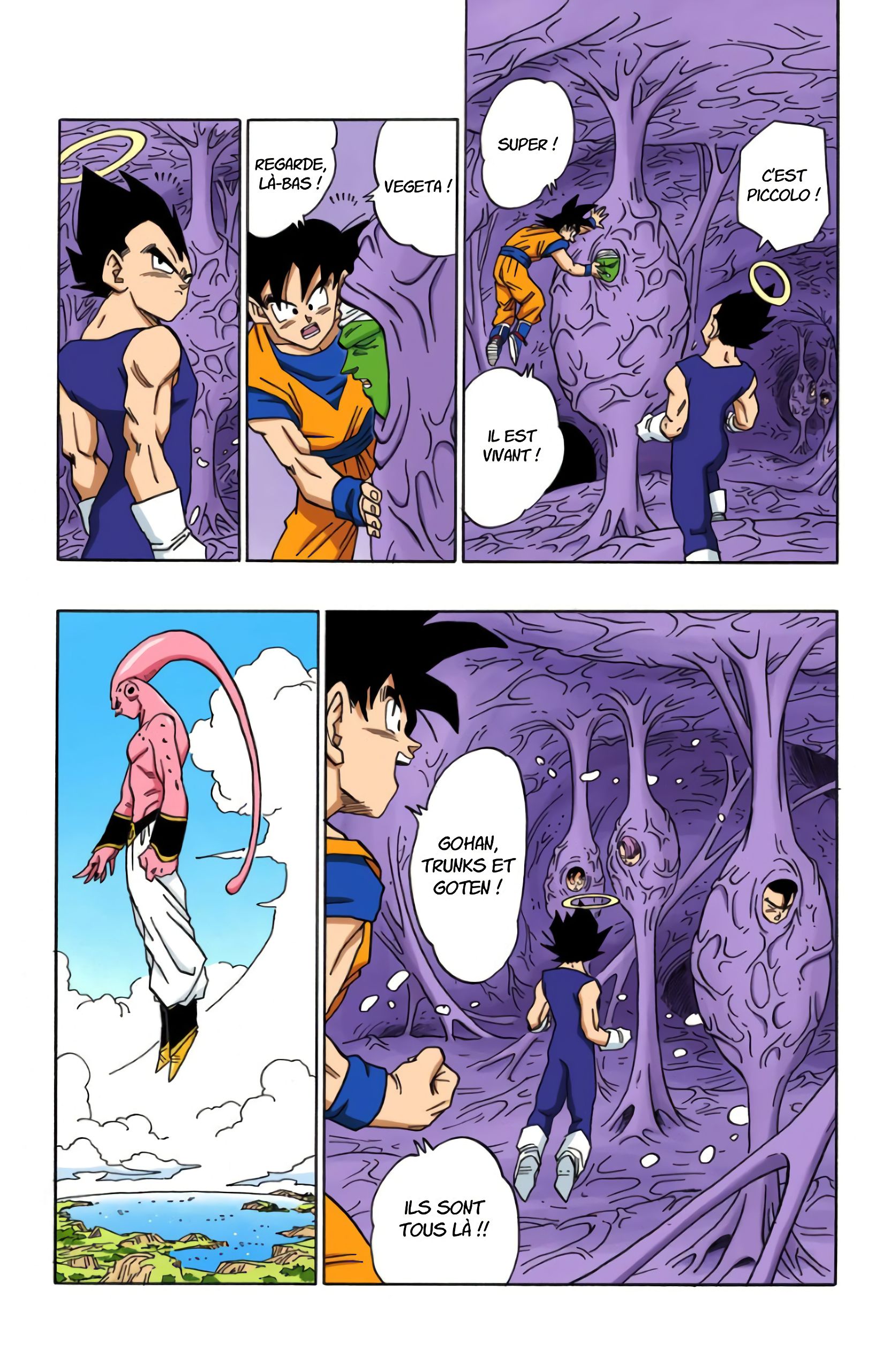 Chapitre 506 — Gokû et Végéta à l'intérieur de Boo — page 9