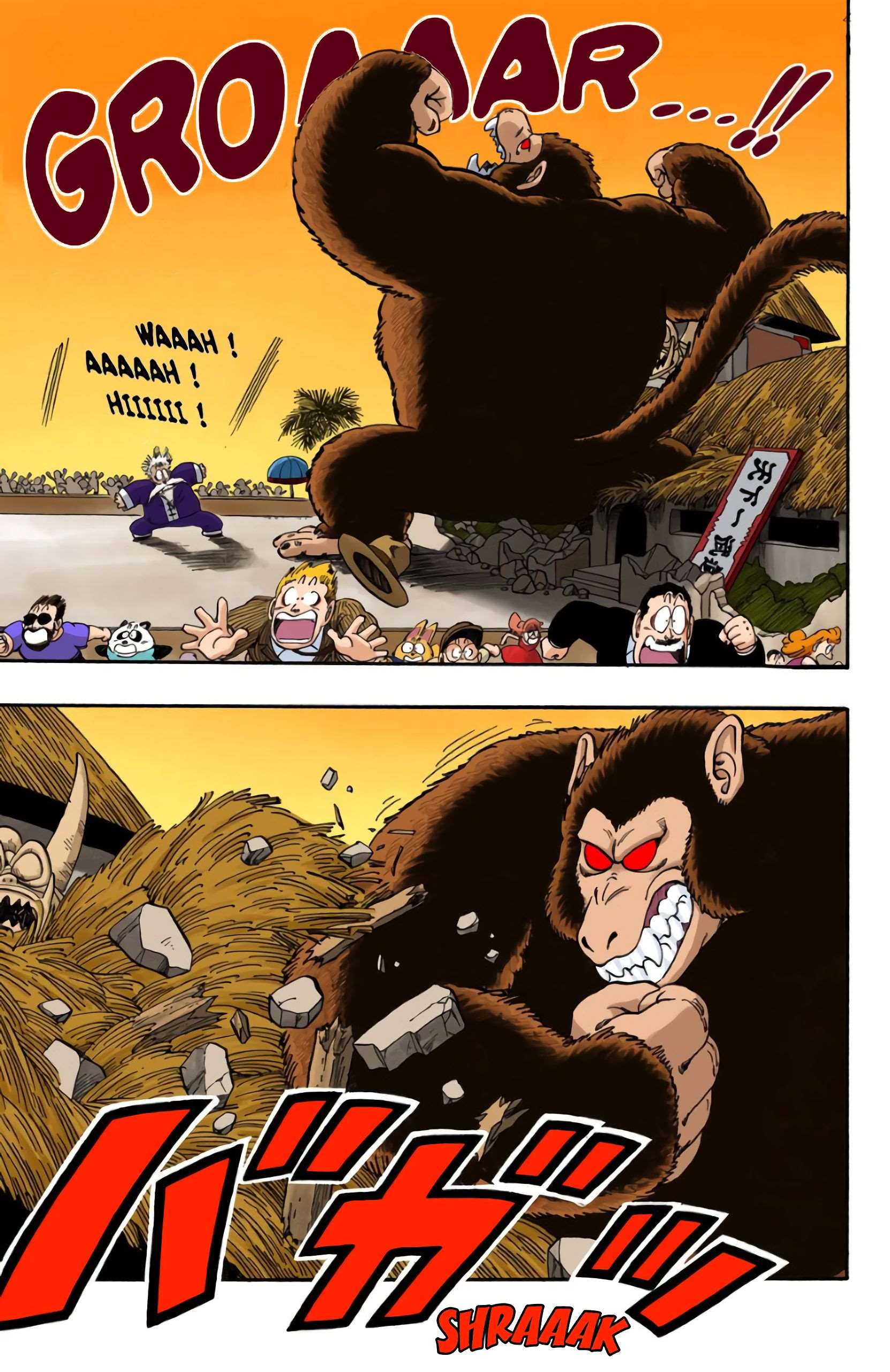Chapitre 51 — Panique au Tenkaichi Budokai !! — page 5