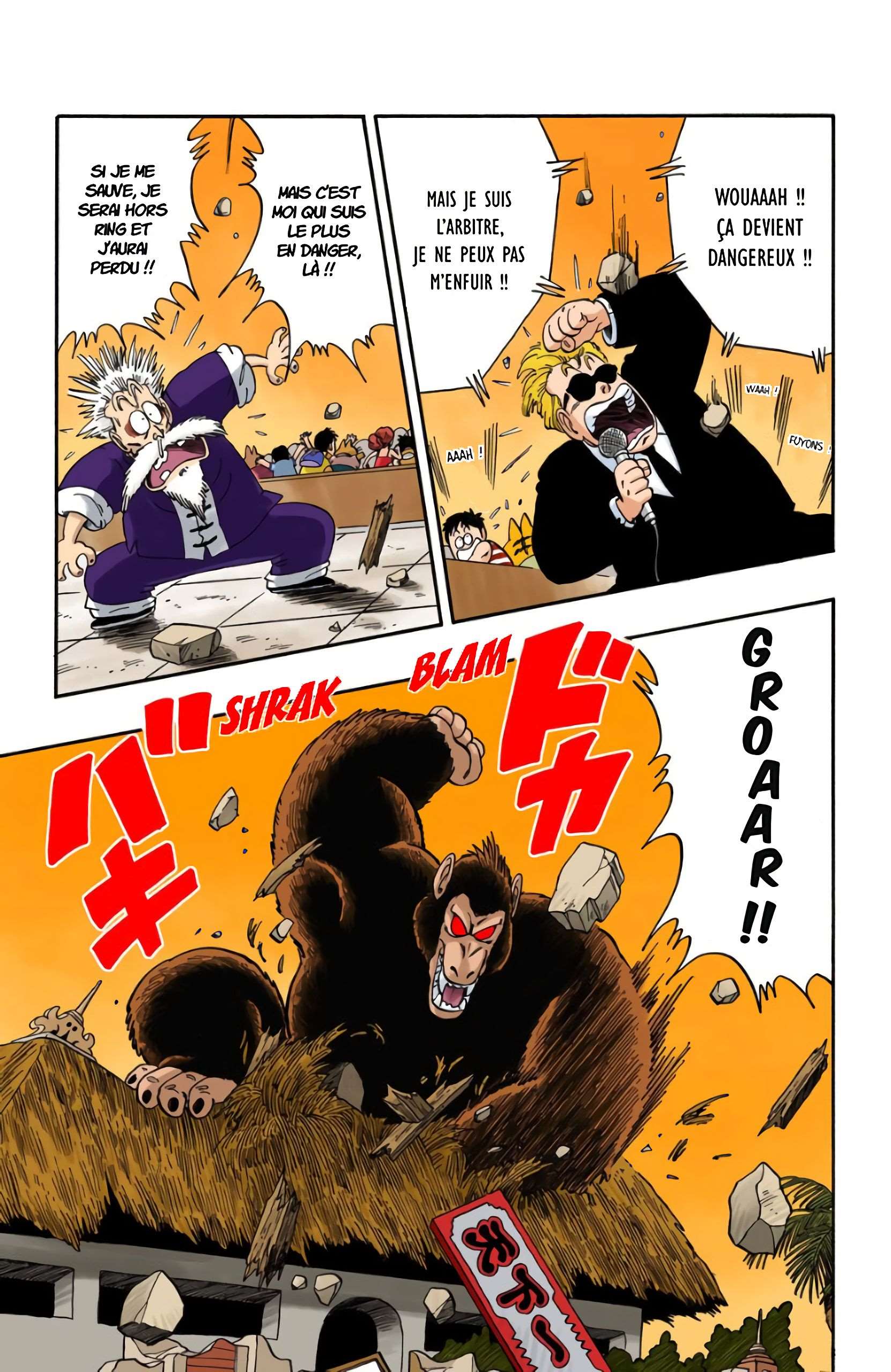 Chapitre 51 — Panique au Tenkaichi Budokai !! — page 7