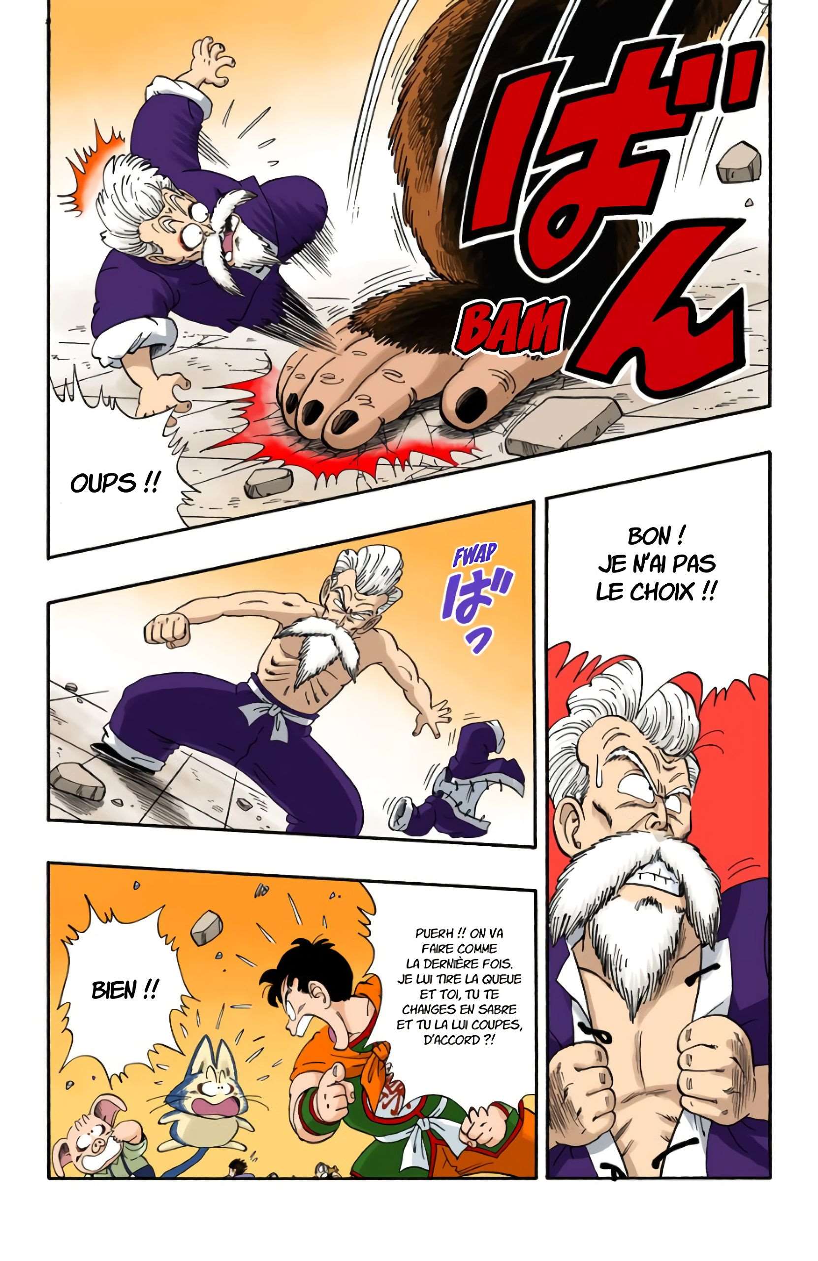 Chapitre 51 — Panique au Tenkaichi Budokai !! — page 9