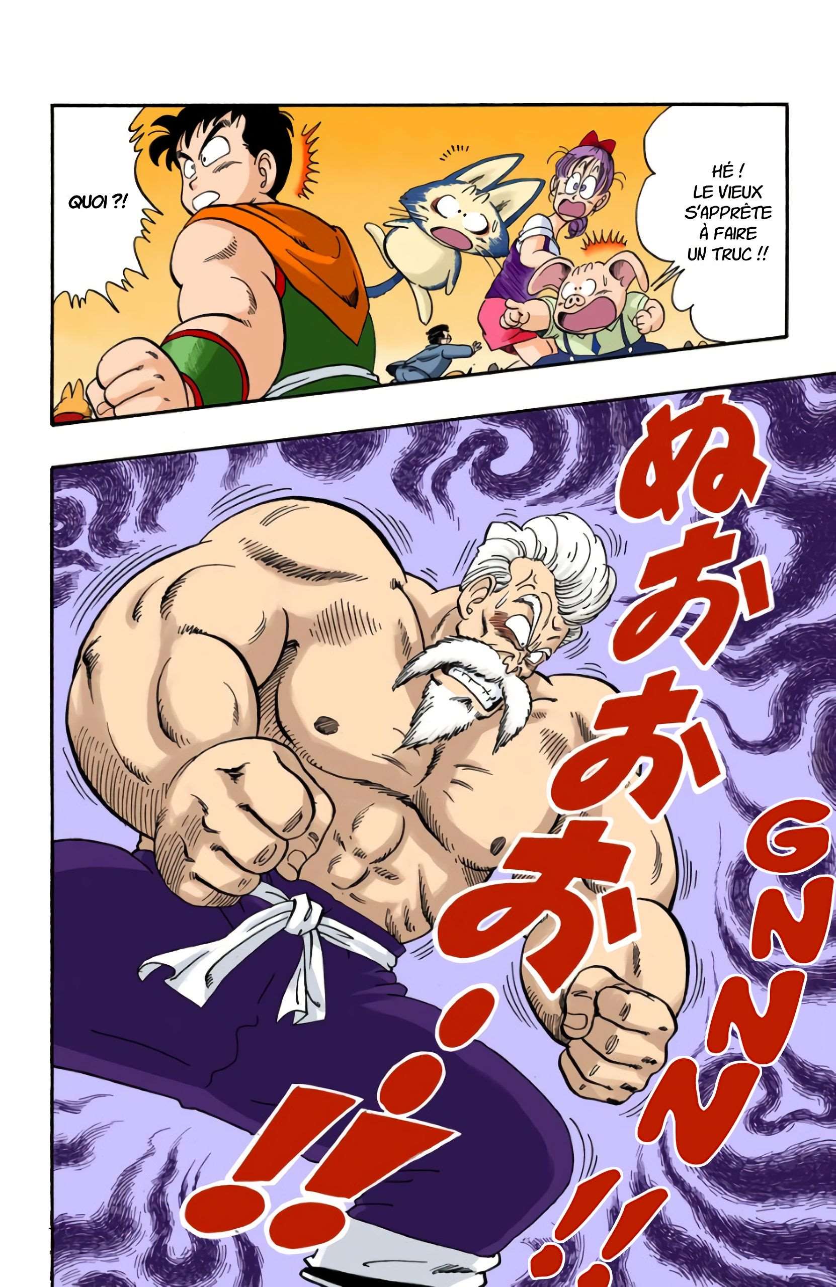 Chapitre 51 — Panique au Tenkaichi Budokai !! — page 10