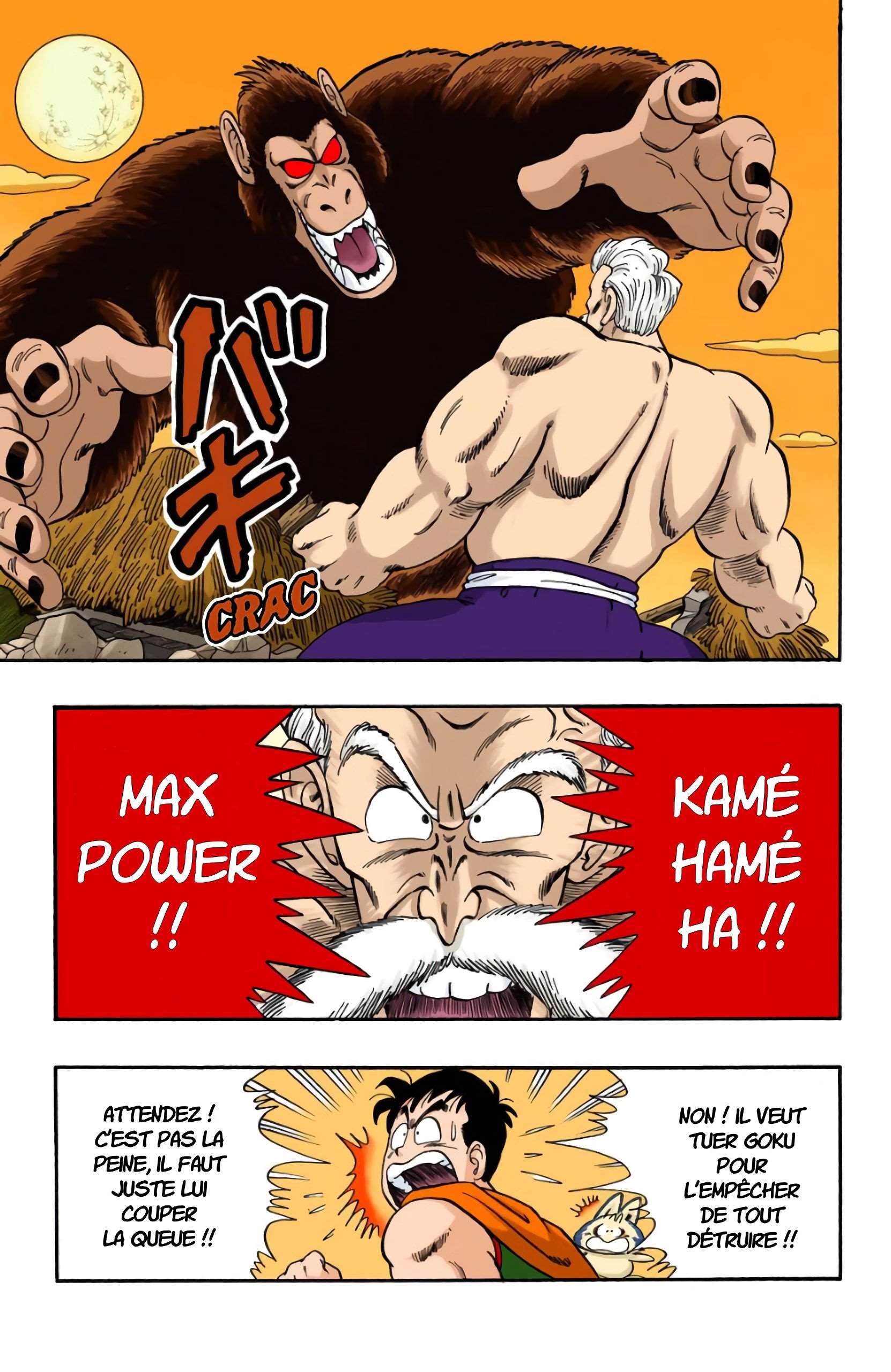 Chapitre 51 — Panique au Tenkaichi Budokai !! — page 11