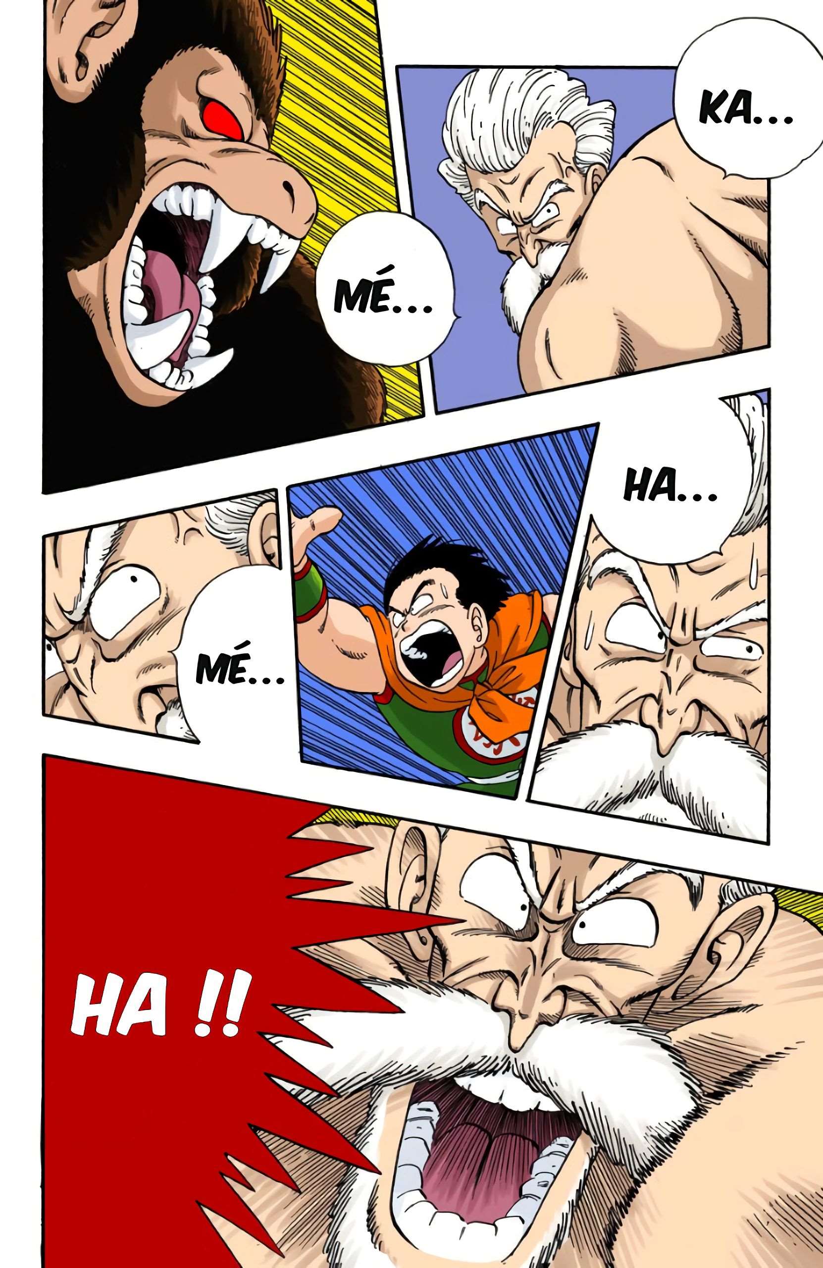 Chapitre 51 — Panique au Tenkaichi Budokai !! — page 12