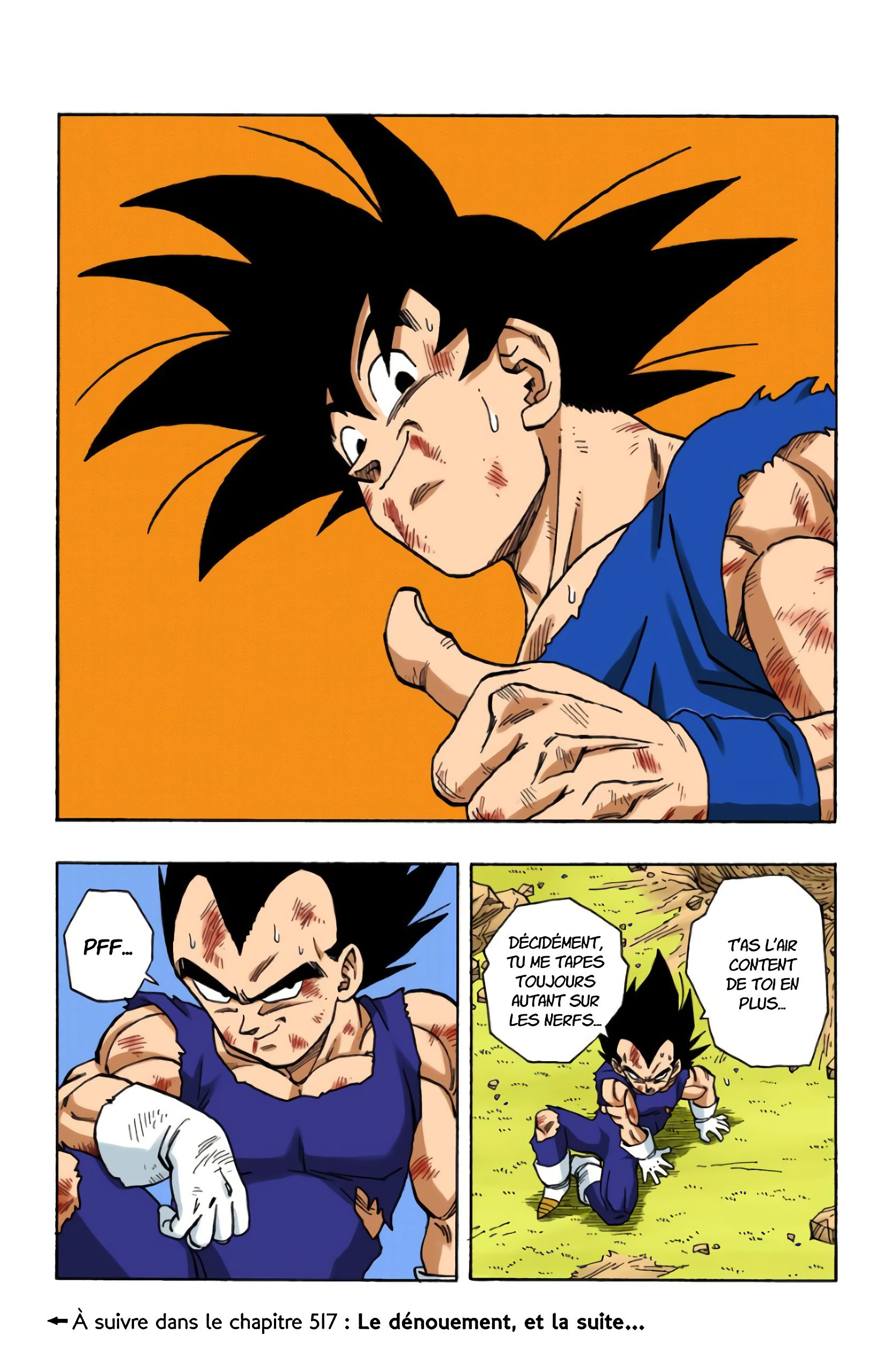 Chapitre 516 — L'issue du combat — page 15