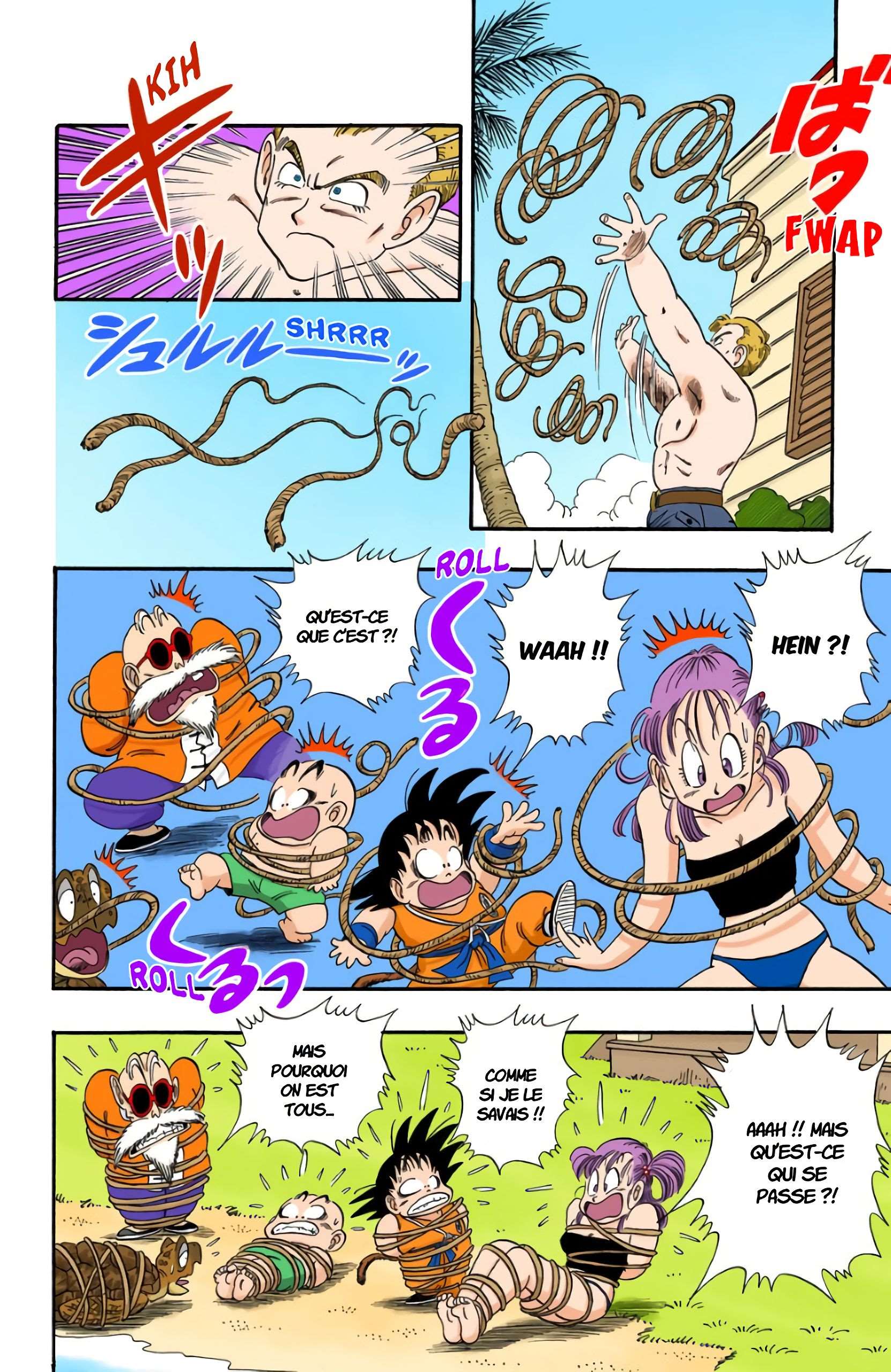 Chapitre 80 — Les trois Dragon Balls volées — page 8