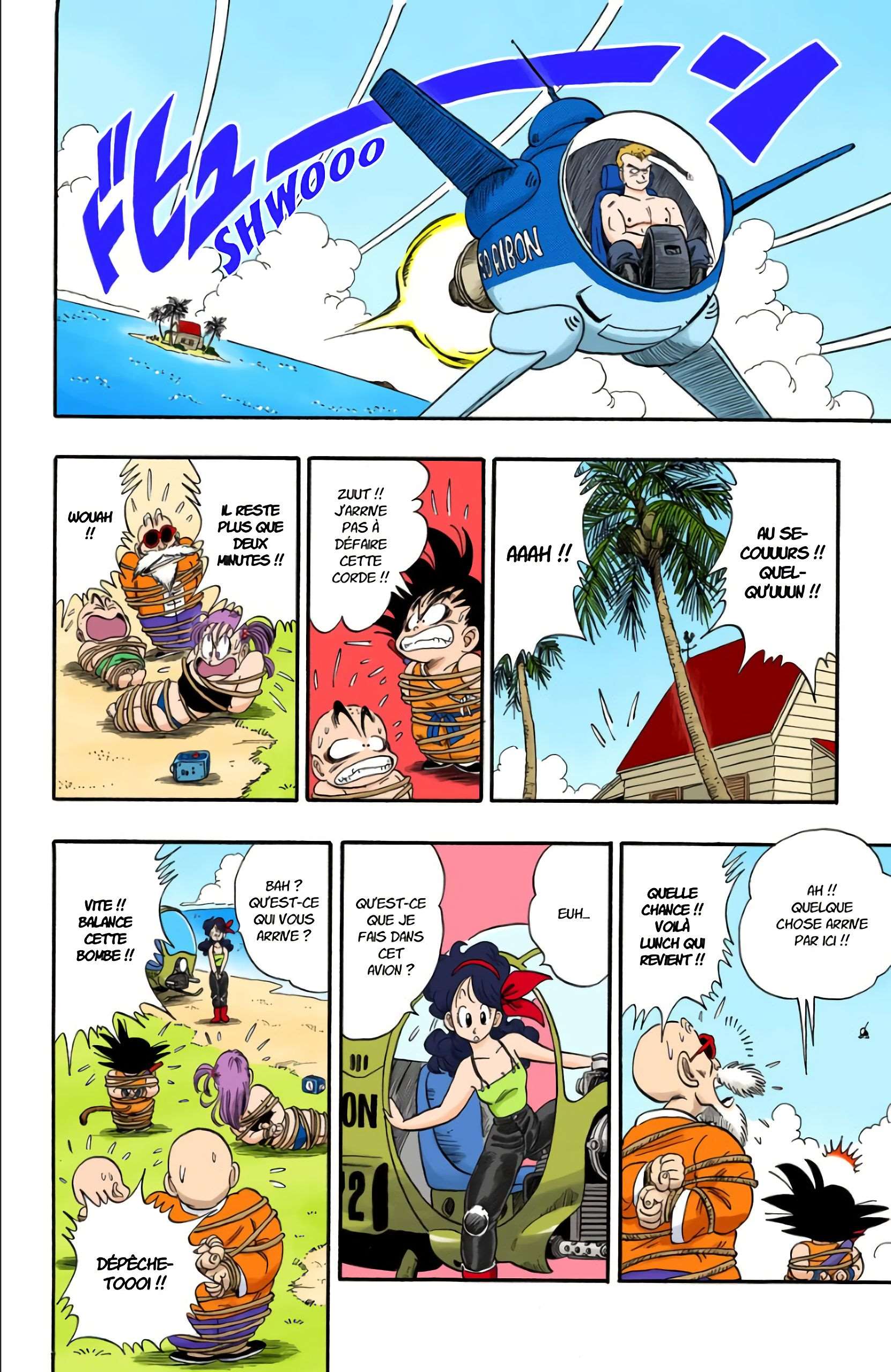 Chapitre 80 — Les trois Dragon Balls volées — page 12