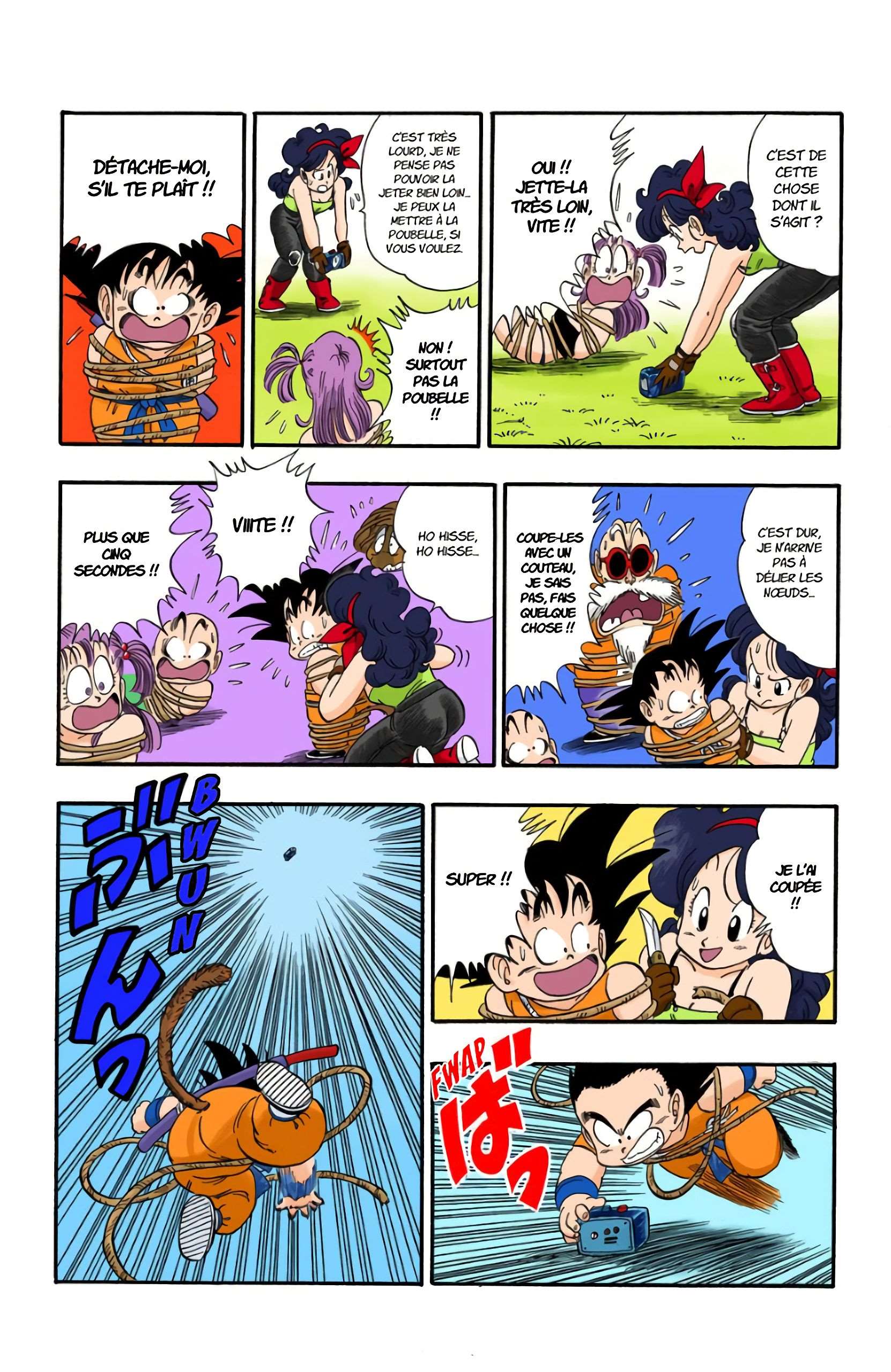 Chapitre 80 — Les trois Dragon Balls volées — page 13
