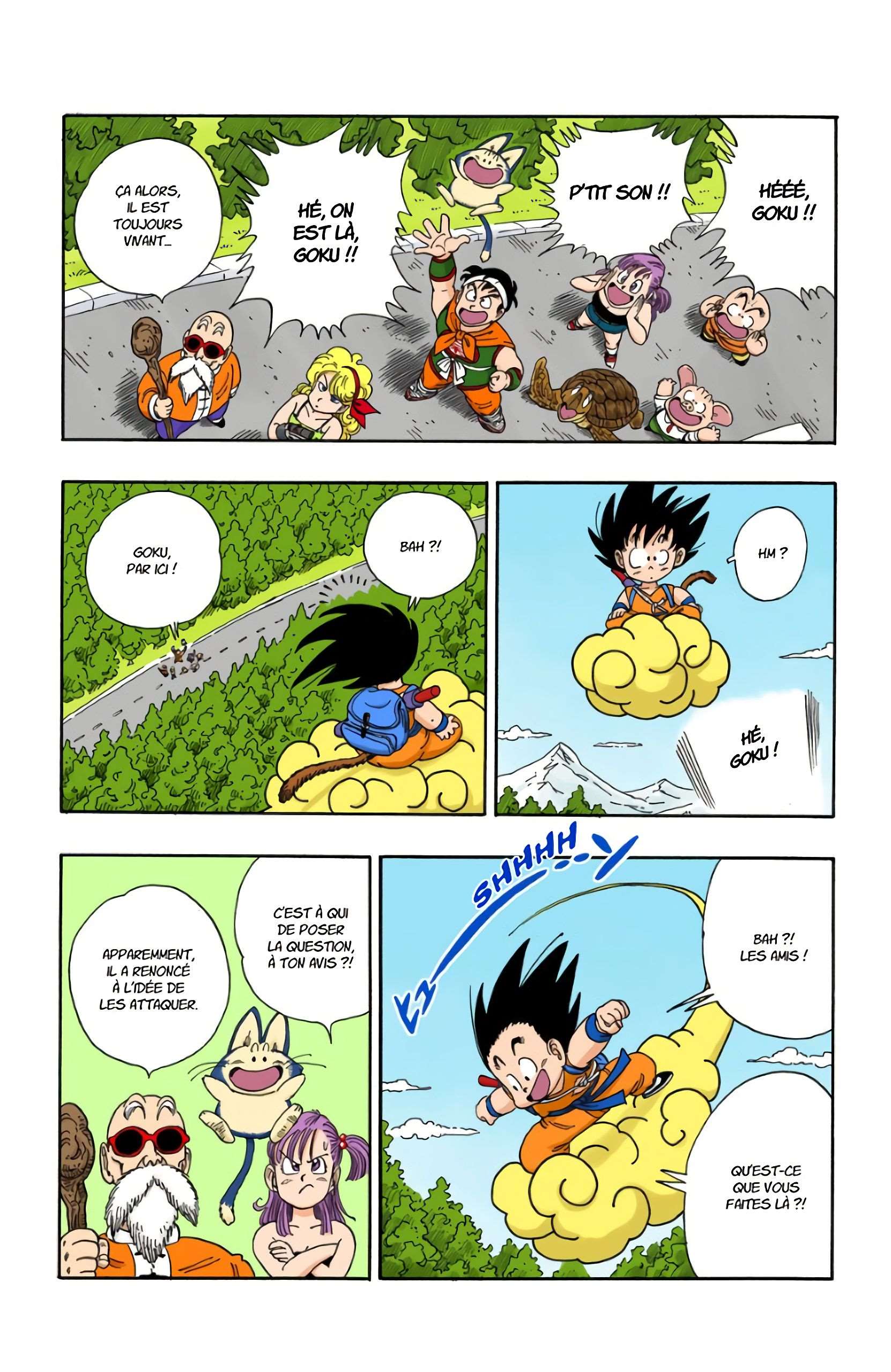 Chapitre 97 — La dernière Dragon Ball — page 7