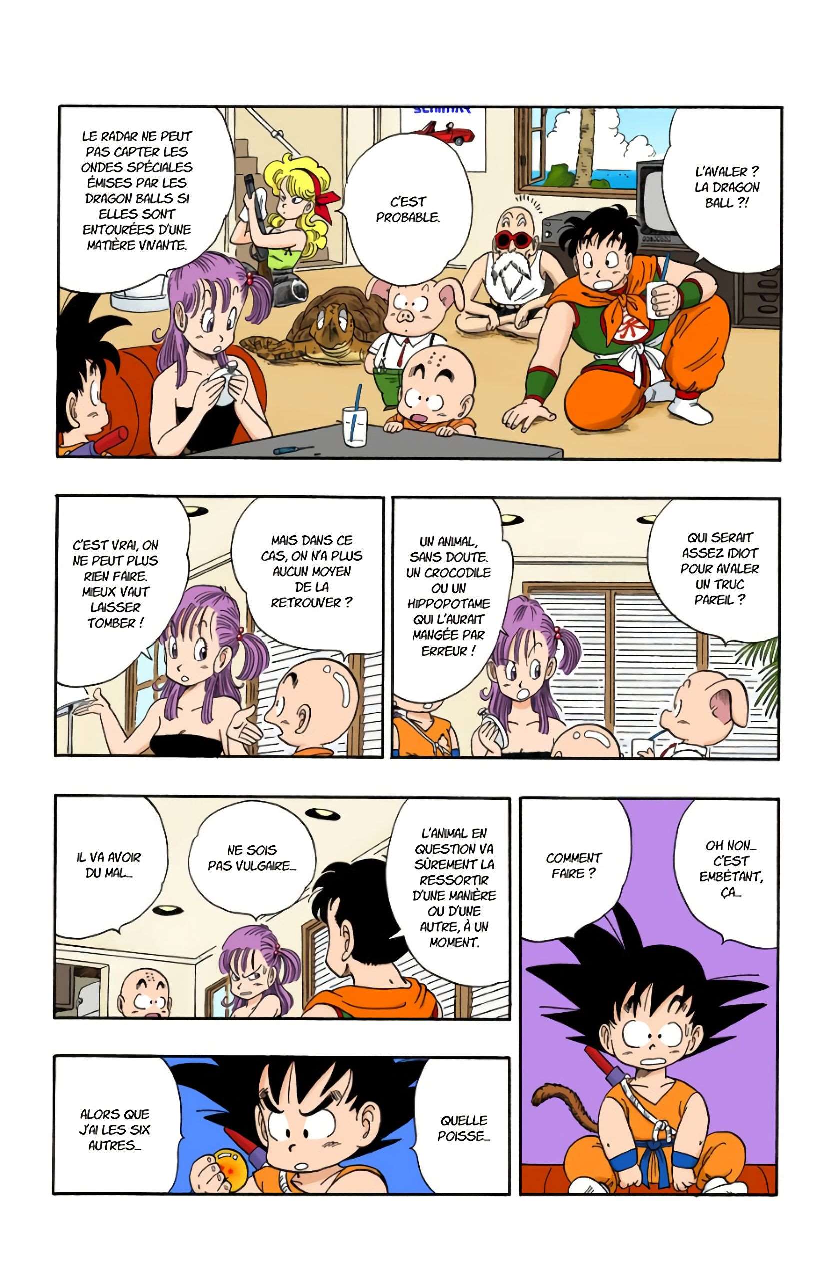 Chapitre 97 — La dernière Dragon Ball — page 13