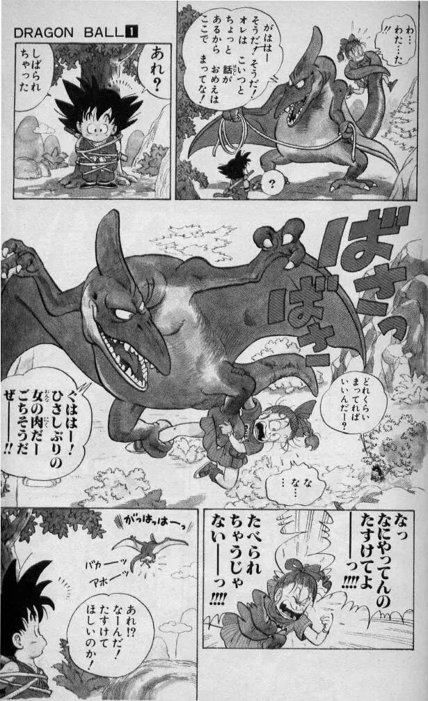 Chapitre 1 — Dragon Ball (Édition Japonaise) Vol. 1 — page 30