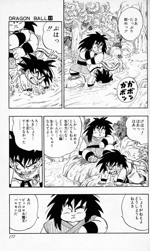 Chapitre 12 — Dragon Ball (Édition Japonaise) Vol. 12 — page 176