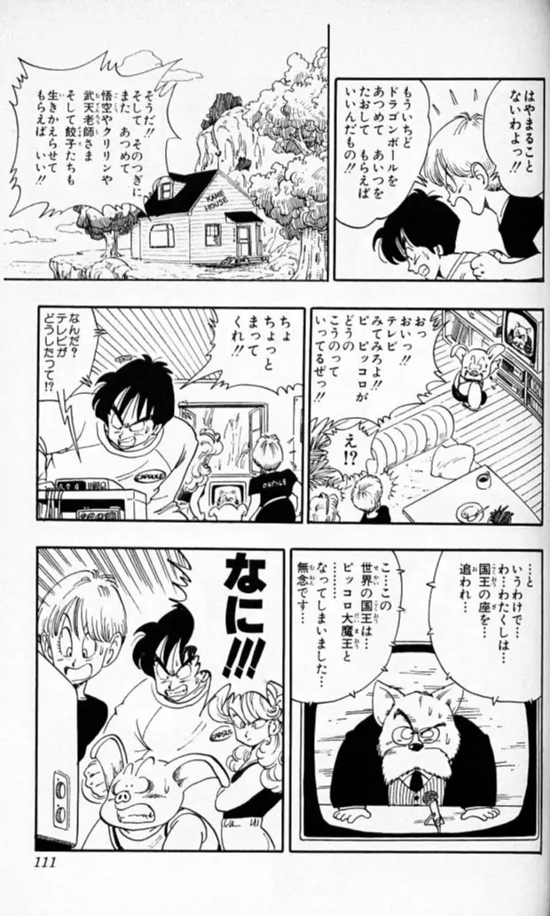 Chapitre 13 — Dragon Ball (Édition Japonaise) Vol. 13 — page 110