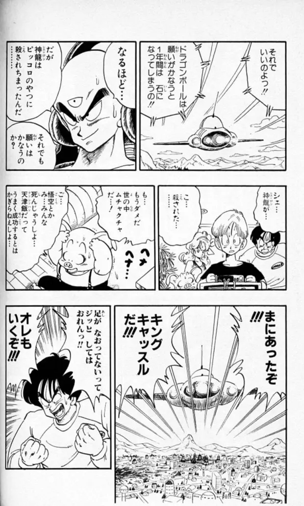 Chapitre 13 — Dragon Ball (Édition Japonaise) Vol. 13 — page 125