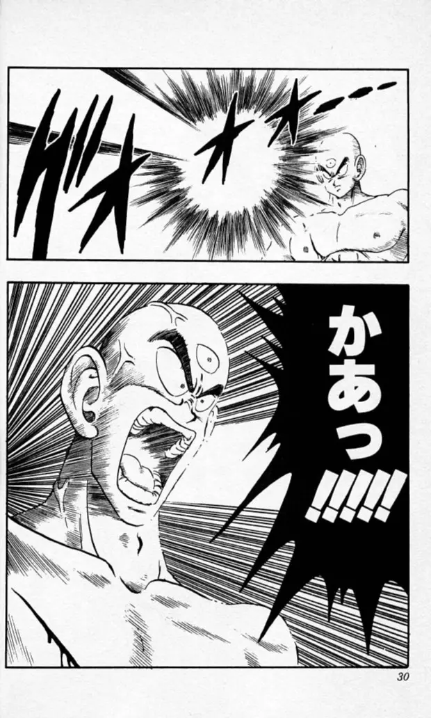 Chapitre 15 — Dragon Ball (Édition Japonaise) Vol. 15 — page 29