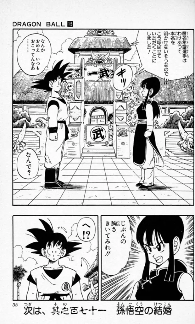Chapitre 15 — Dragon Ball (Édition Japonaise) Vol. 15 — page 34