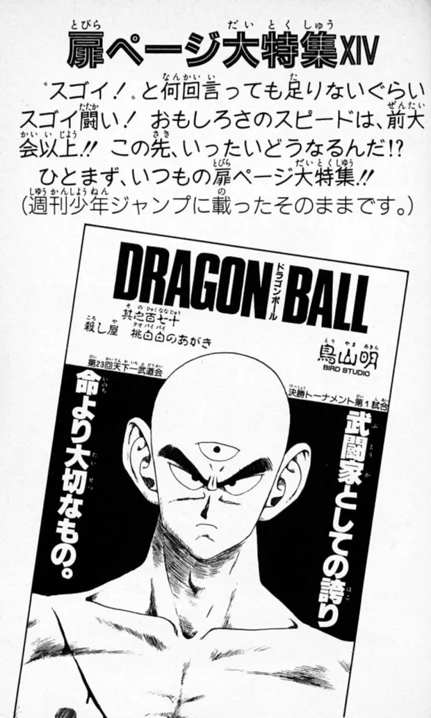 Chapitre 15 — Dragon Ball (Édition Japonaise) Vol. 15 — page 177