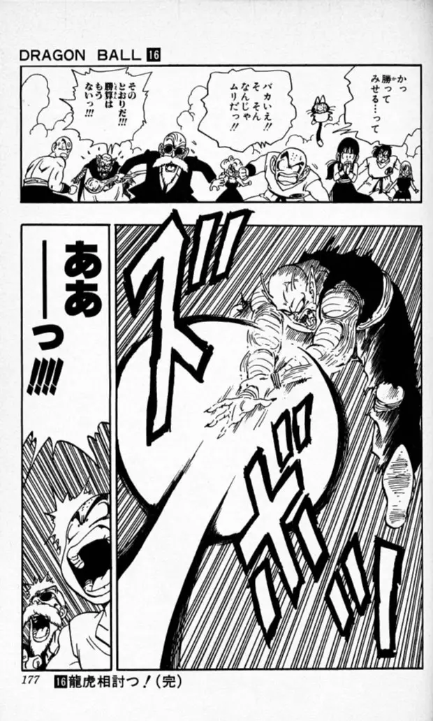 Chapitre 16 — Dragon Ball (Édition Japonaise) Vol. 16 — page 176