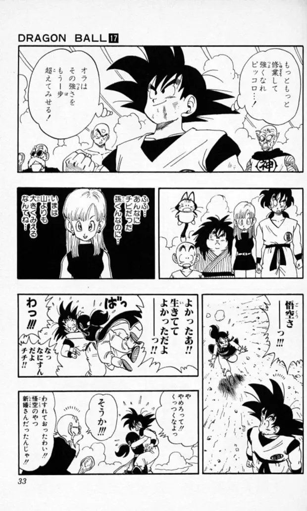 Chapitre 17 — Dragon Ball (Édition Japonaise) Vol. 17 — page 32