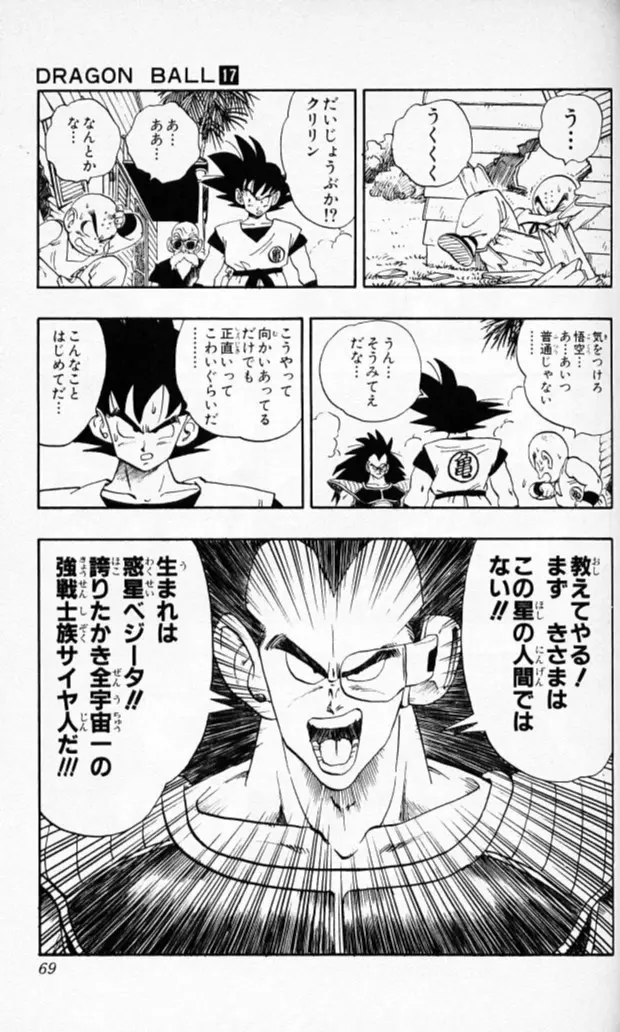 Chapitre 17 — Dragon Ball (Édition Japonaise) Vol. 17 — page 68