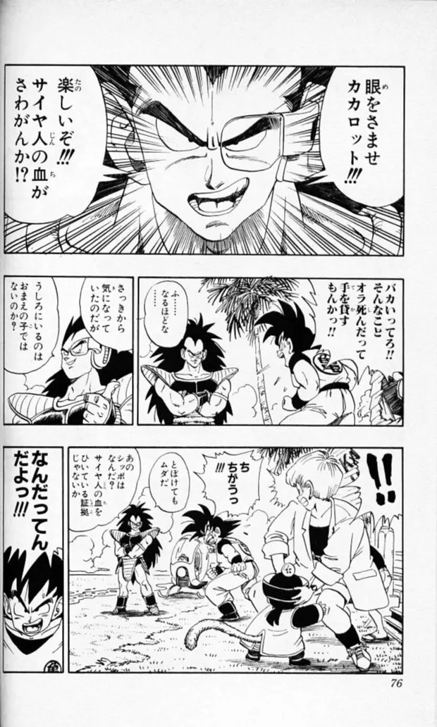 Chapitre 17 — Dragon Ball (Édition Japonaise) Vol. 17 — page 75