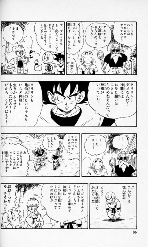 Chapitre 17 — Dragon Ball (Édition Japonaise) Vol. 17 — page 85