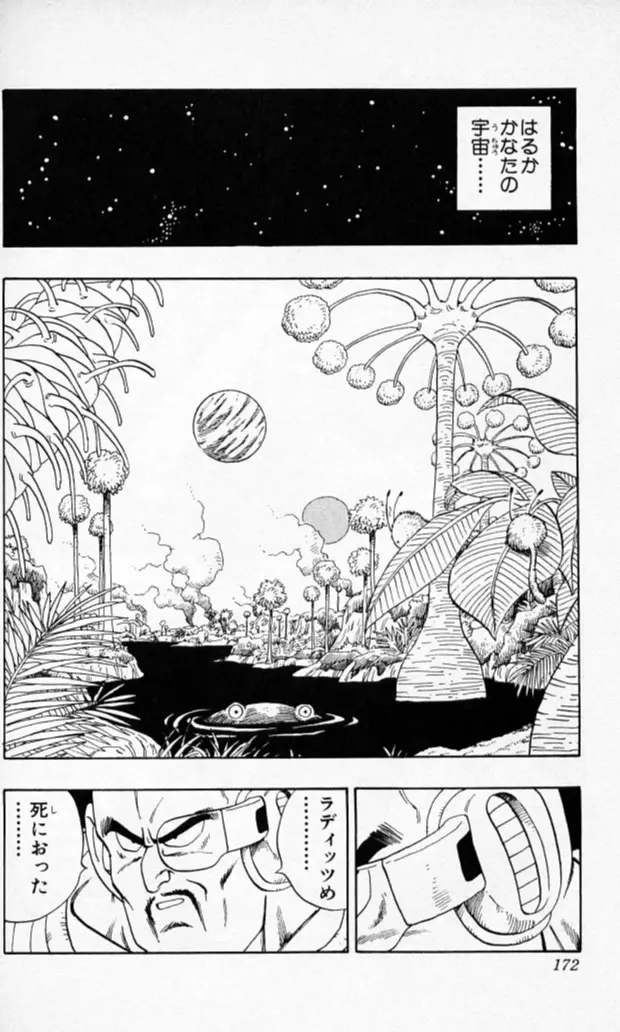 Chapitre 17 — Dragon Ball (Édition Japonaise) Vol. 17 — page 171