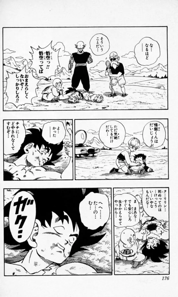 Chapitre 17 — Dragon Ball (Édition Japonaise) Vol. 17 — page 175