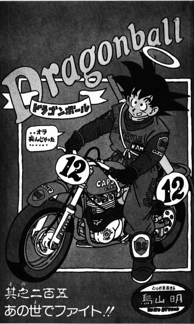 Chapitre 18 — Dragon Ball (Édition Japonaise) Vol. 18 — page 6