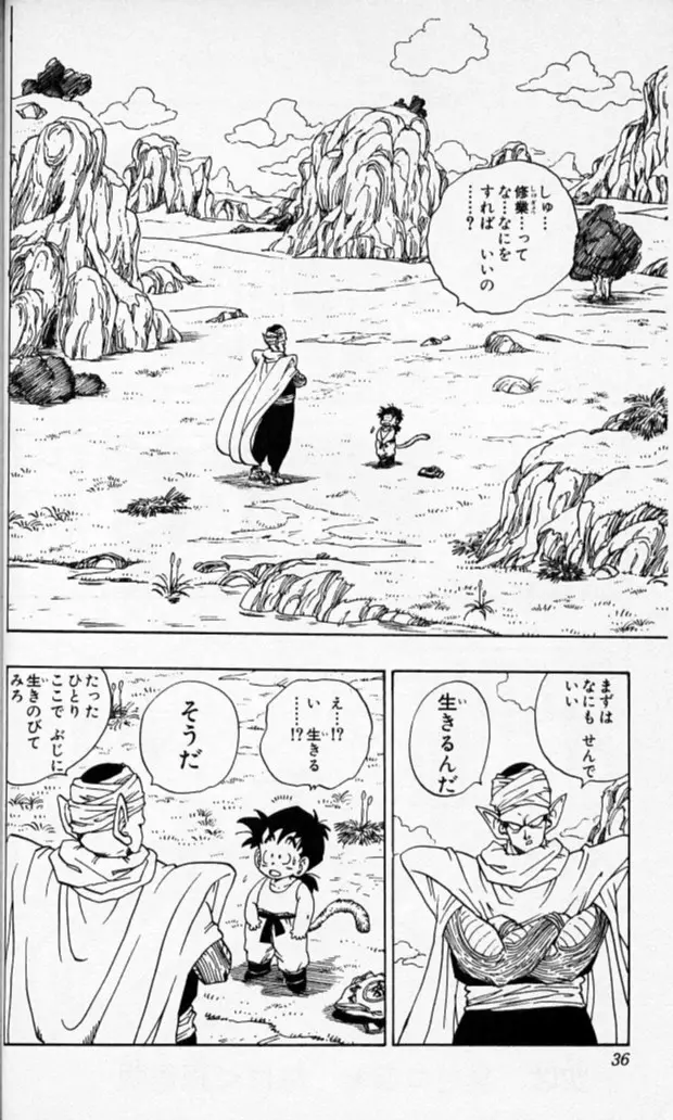 Chapitre 18 — Dragon Ball (Édition Japonaise) Vol. 18 — page 35