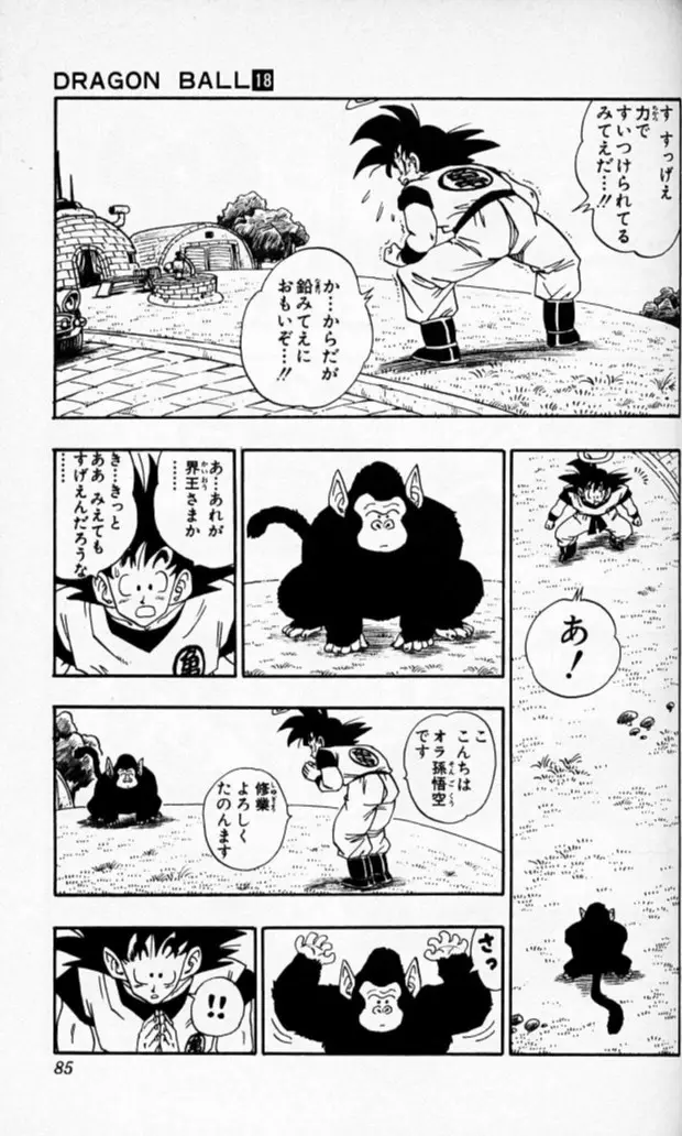 Chapitre 18 — Dragon Ball (Édition Japonaise) Vol. 18 — page 84