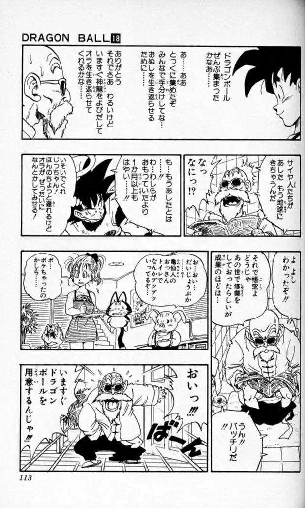 Chapitre 18 — Dragon Ball (Édition Japonaise) Vol. 18 — page 112