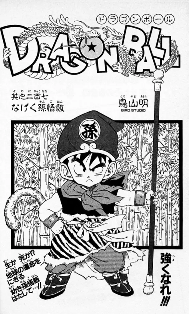 Chapitre 18 — Dragon Ball (Édition Japonaise) Vol. 18 — page 176