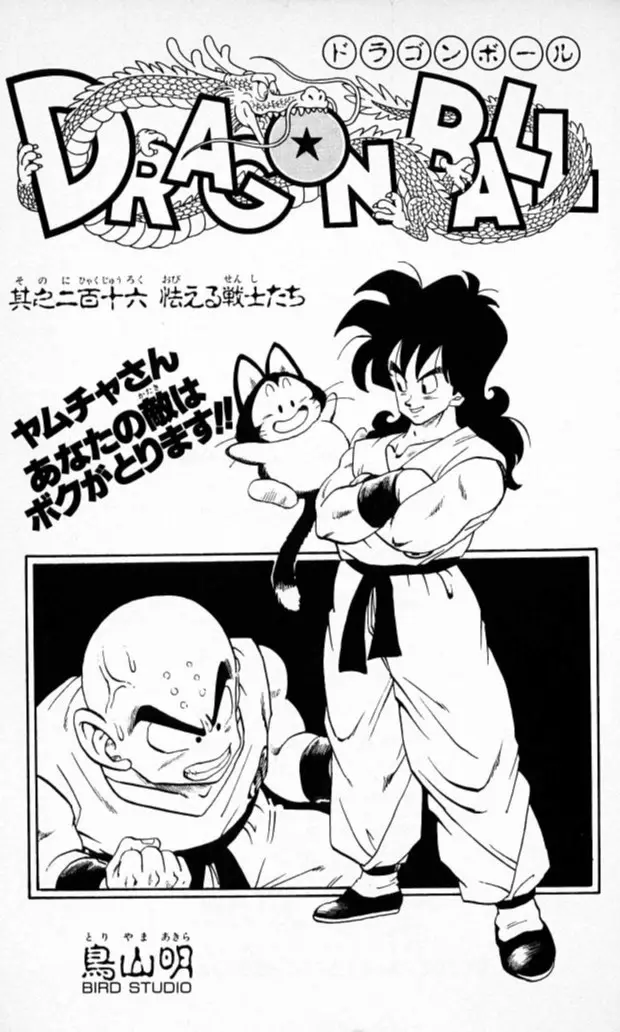 Chapitre 18 — Dragon Ball (Édition Japonaise) Vol. 18 — page 185