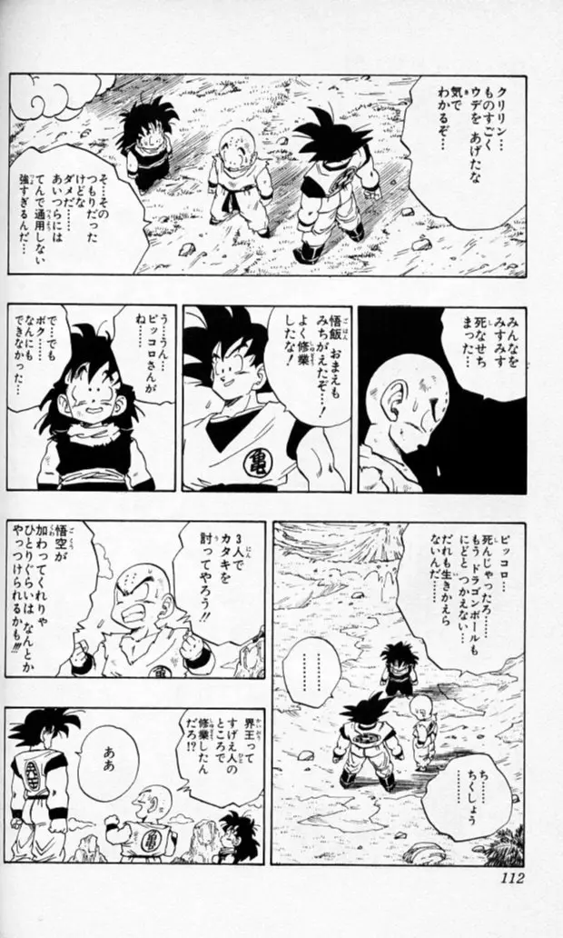 Chapitre 19 — Dragon Ball (Édition Japonaise) Vol. 19 — page 111