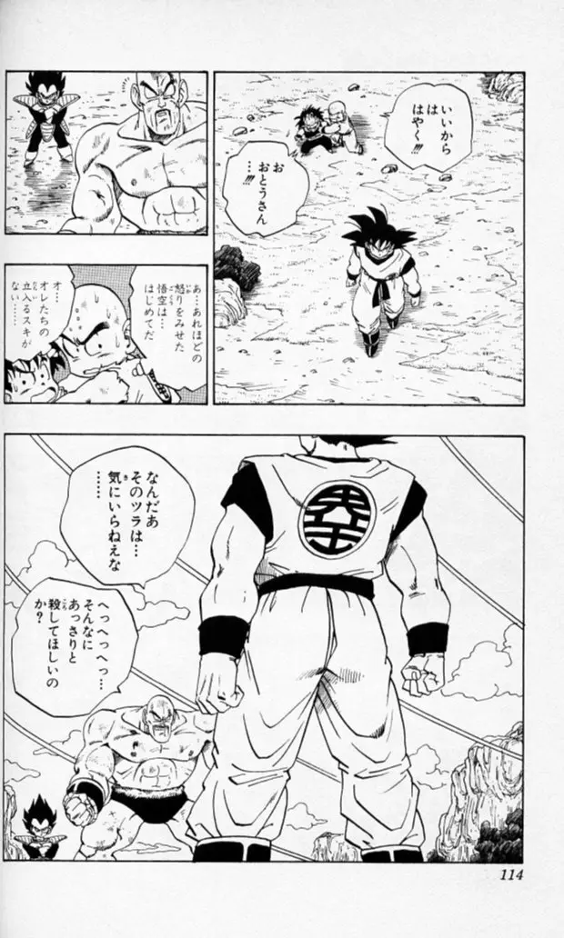 Chapitre 19 — Dragon Ball (Édition Japonaise) Vol. 19 — page 113