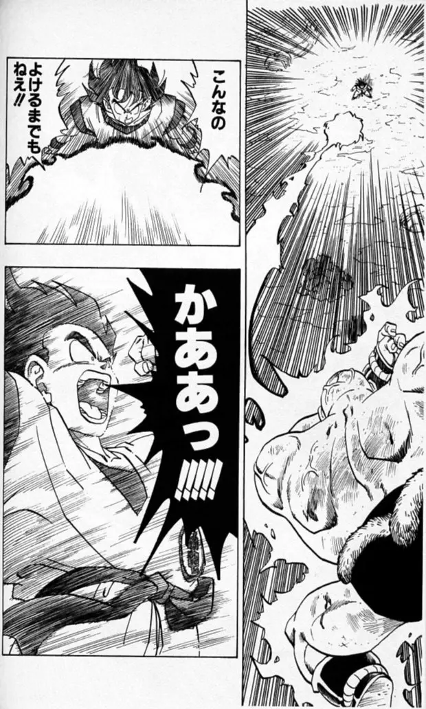 Chapitre 19 — Dragon Ball (Édition Japonaise) Vol. 19 — page 127