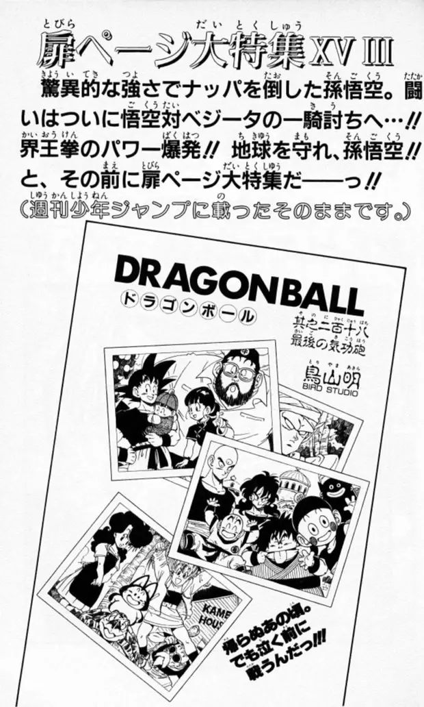 Chapitre 19 — Dragon Ball (Édition Japonaise) Vol. 19 — page 175