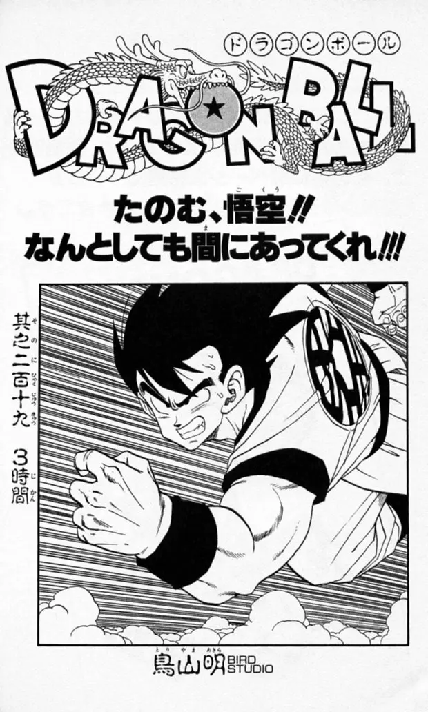 Chapitre 19 — Dragon Ball (Édition Japonaise) Vol. 19 — page 176
