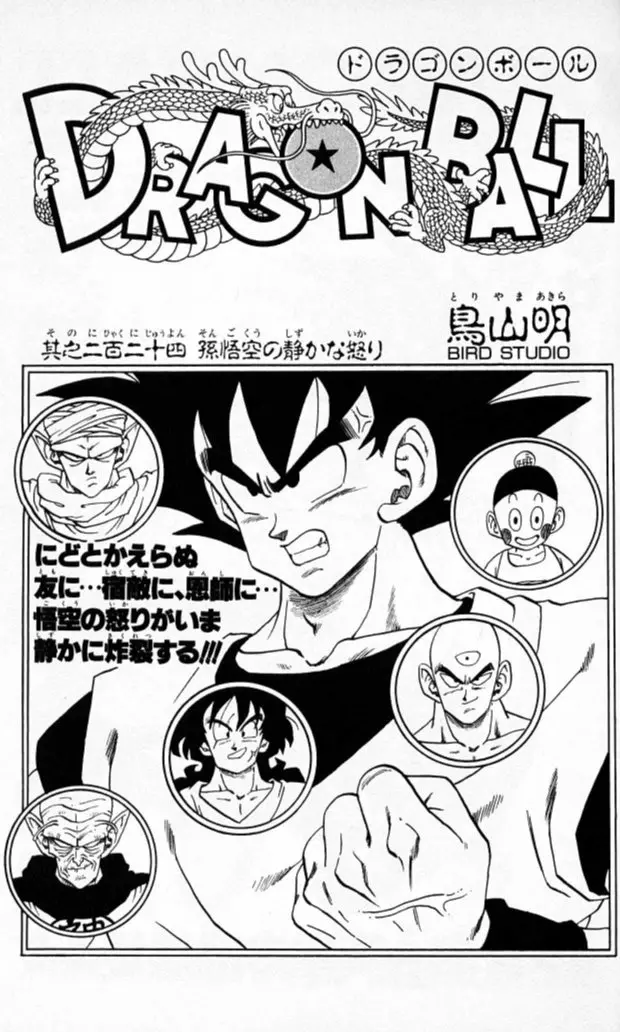 Chapitre 19 — Dragon Ball (Édition Japonaise) Vol. 19 — page 181