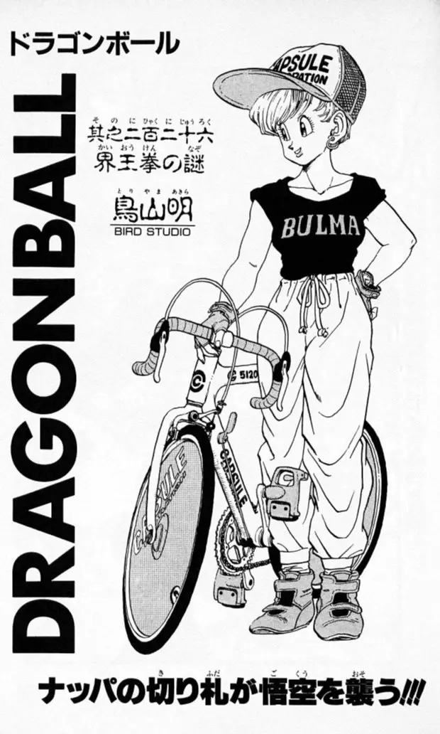 Chapitre 19 — Dragon Ball (Édition Japonaise) Vol. 19 — page 183
