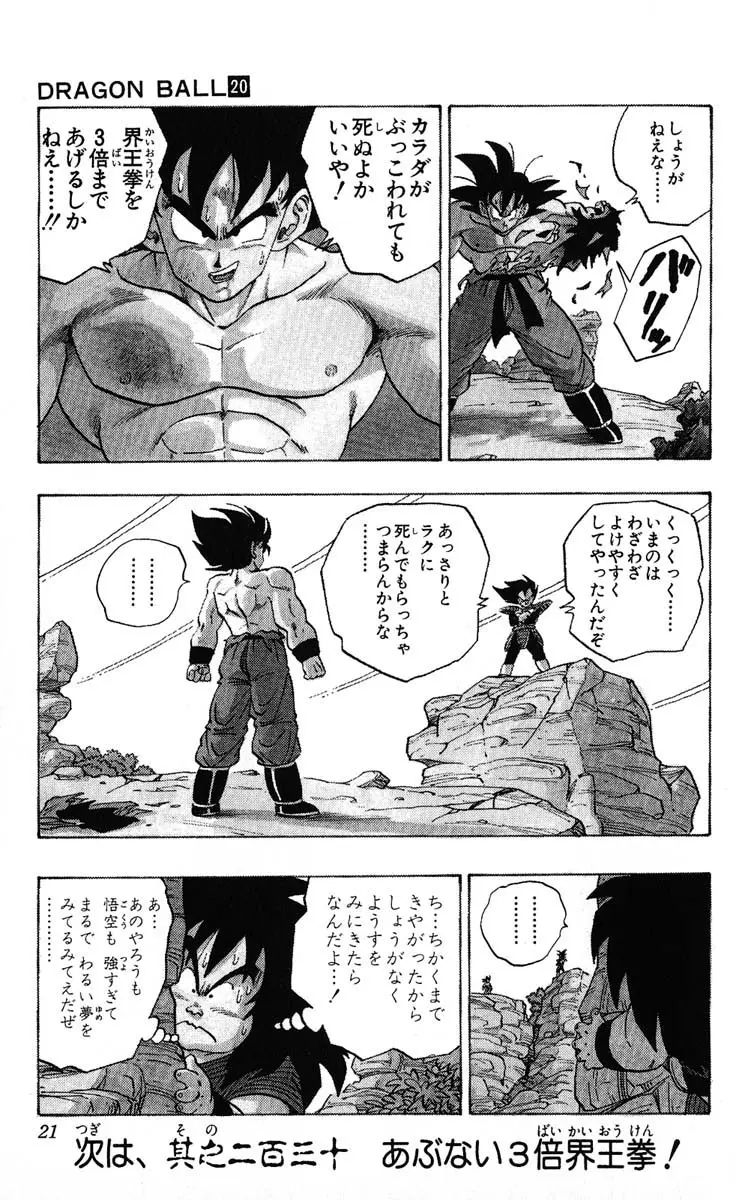 Chapitre 20 — Dragon Ball (Édition Japonaise) Vol. 20 — page 21