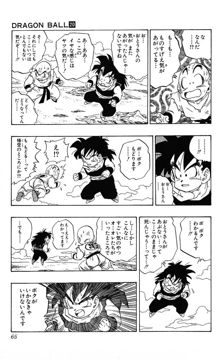 Chapitre 20 — Dragon Ball (Édition Japonaise) Vol. 20 — page 65